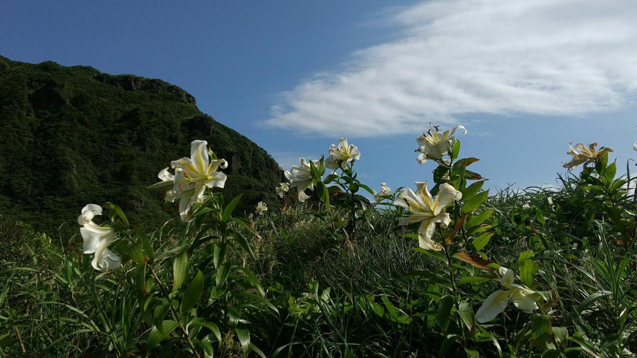 築100年の宿【はぶの家】 Hotel Oshima Eksteriør billede